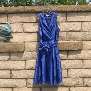 50’s Style Blueberry Dress